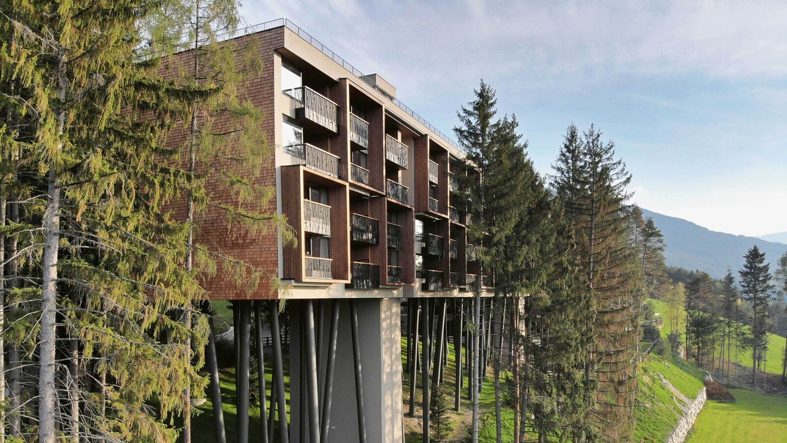 Zwischen Baumwipfeln