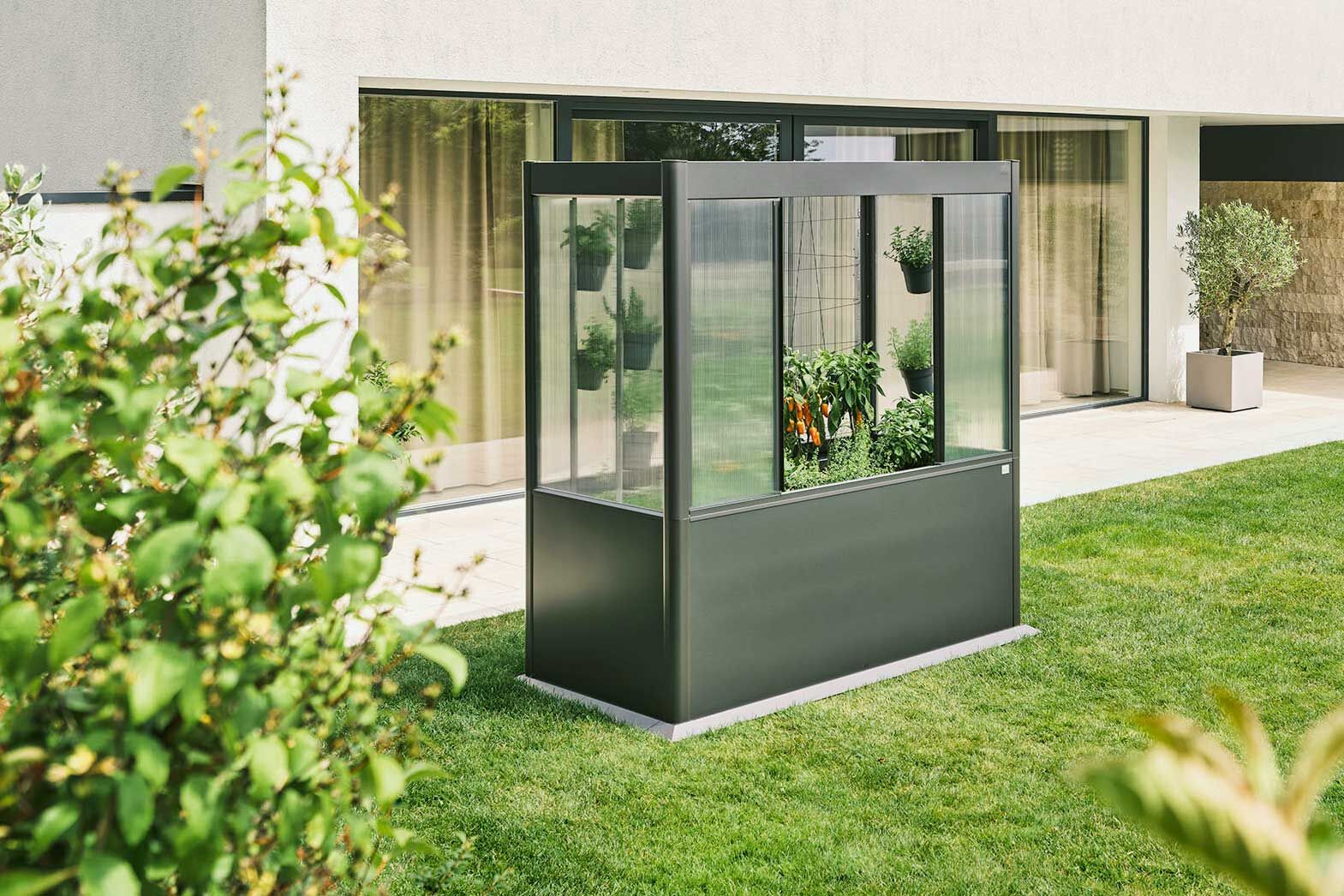 Das Gewächshaus «Florentina» ist ein Biohort Hochbeet mit nachrüstbarem Gewächshausaufsatz. Es bietet einen effizient nutzbaren Raum für vielfältige Bepflanzungen und passt mit seinem klaren Design in Gärten und auf Terrassen. www.softub.ch